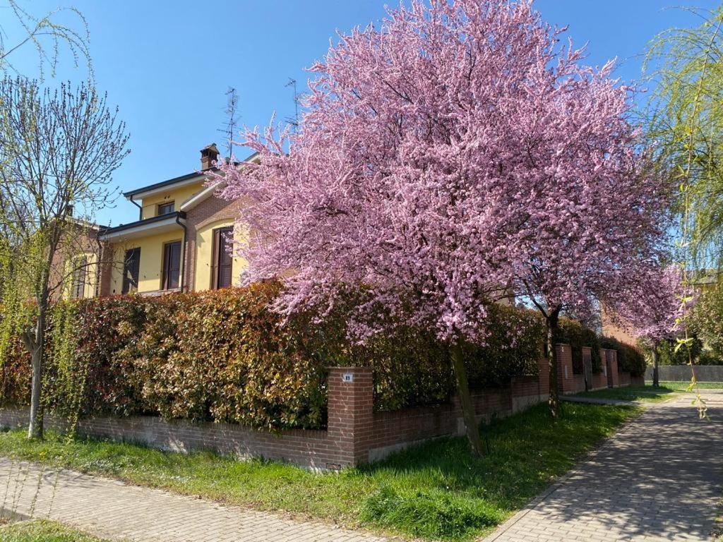 Suite Travel Home Modena Eksteriør billede